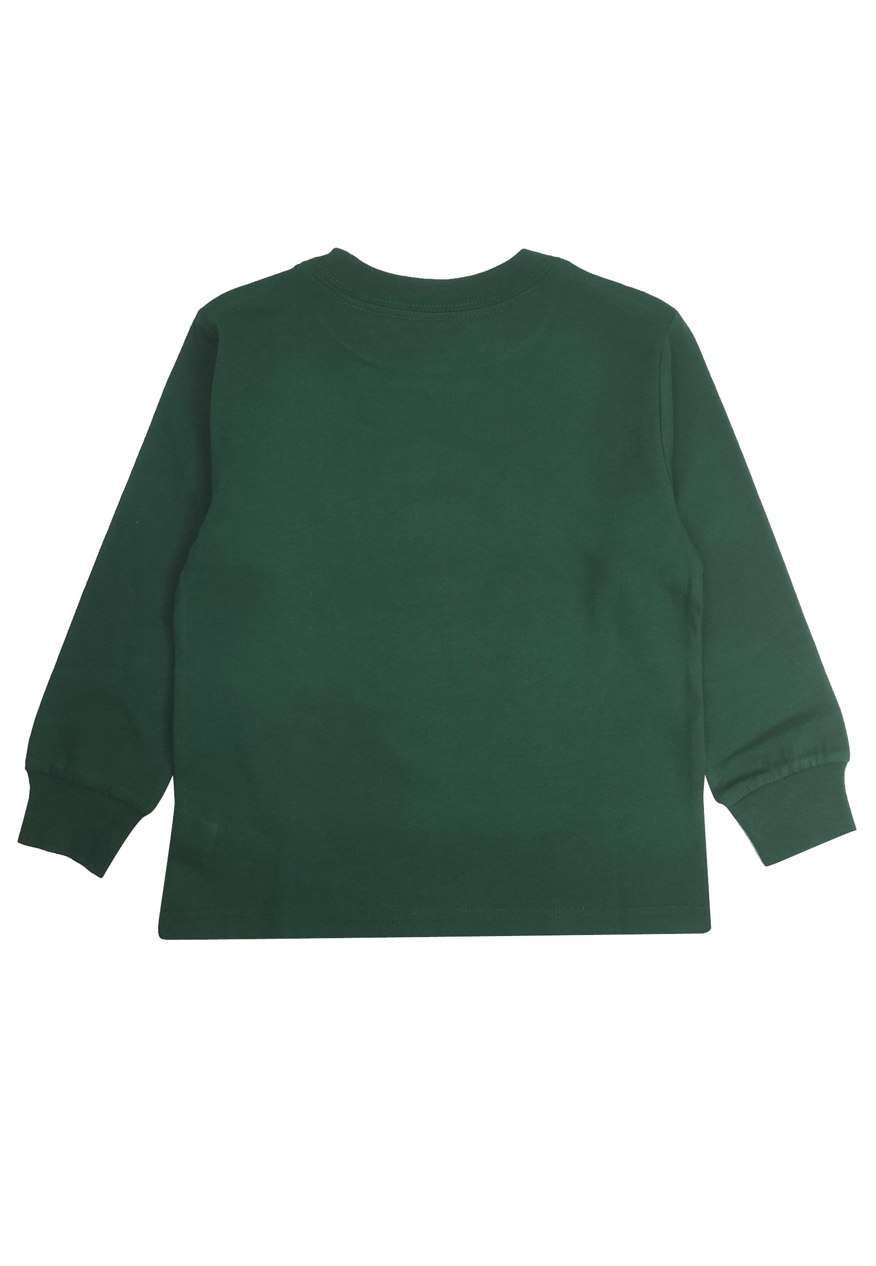 ViaMonte Shop | Ralph Lauren t-shirt bear verde ragazzo in cotone