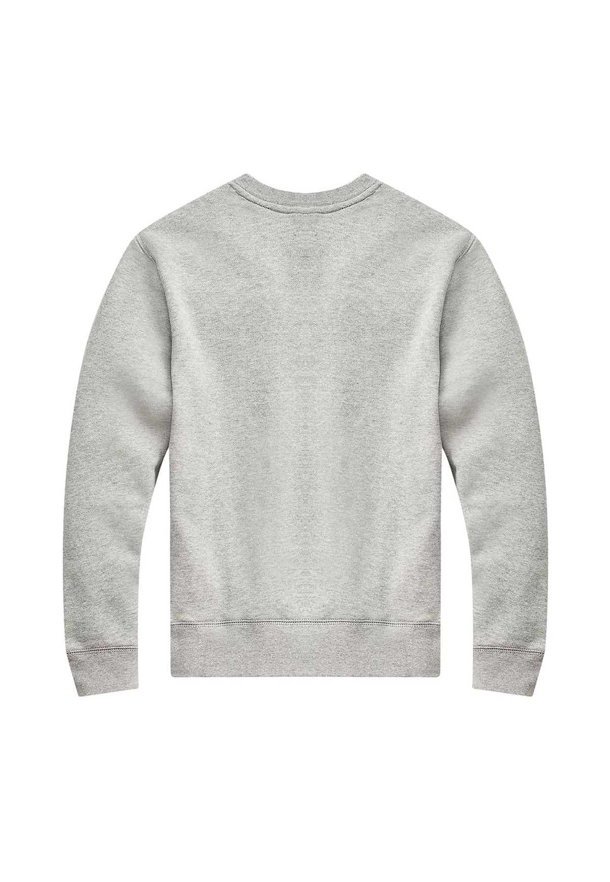 Felpa bambino Ralph Lauren Kids grigia in cotone | ViaMonte Shop