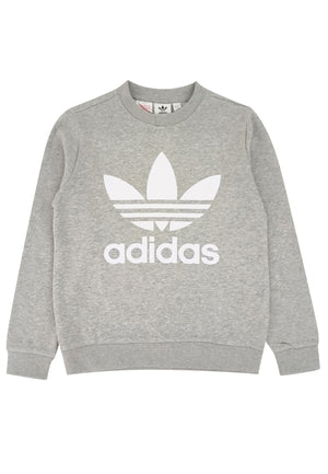 Felpa bambino Adidas grigia in cotone | ViaMonte Shop