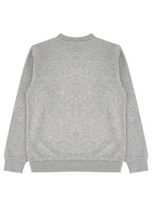 Felpa bambino Adidas grigia in cotone | ViaMonte Shop