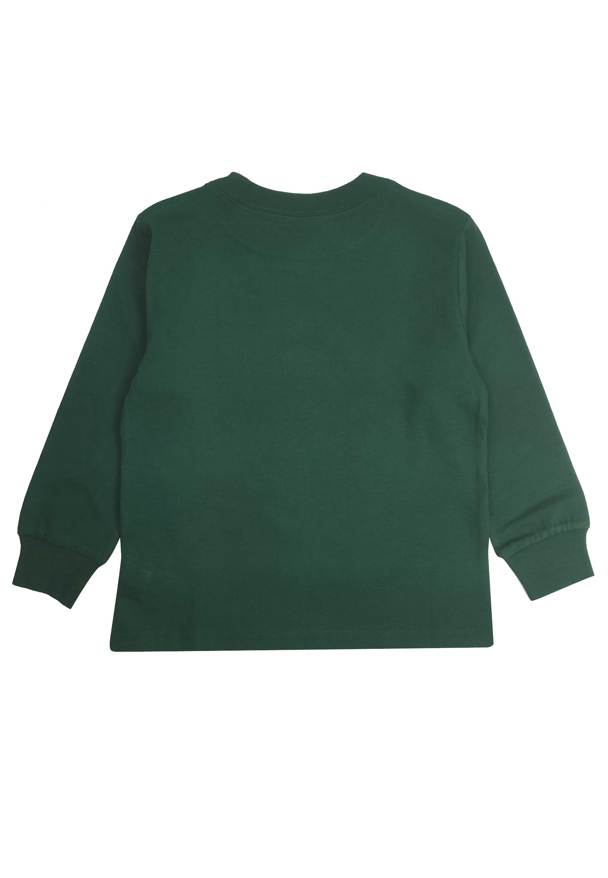 ViaMonte Shop | Ralph Lauren t-shirt bear verde ragazzo in cotone