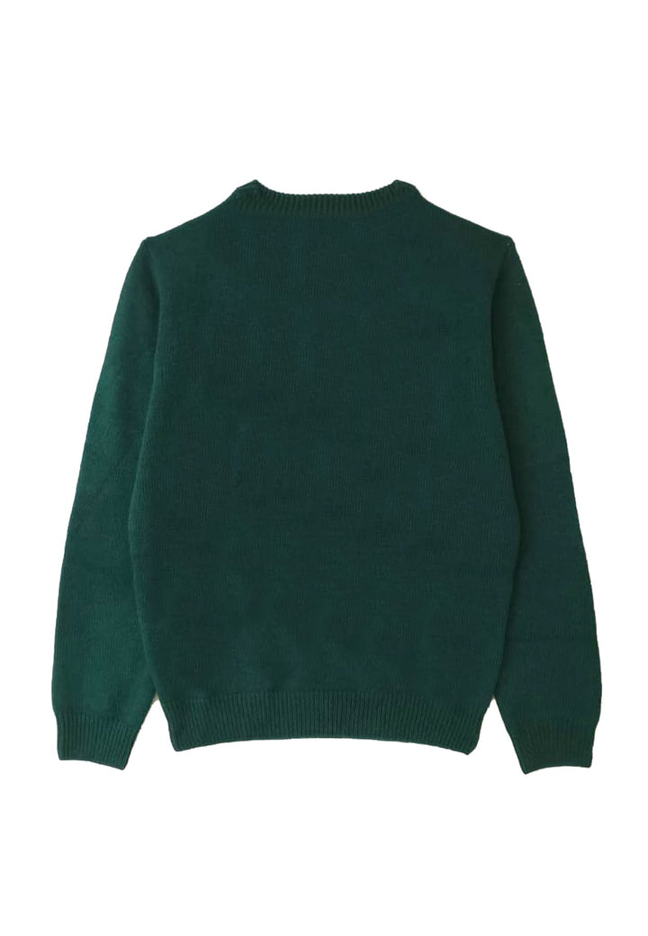 Maglia Douglas bambino MC2 Saint Barth kids verde in misto cashmere