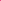 T-shirt bambina Palm Angels fucsia in jersey di cotone | ViaMonte Shop