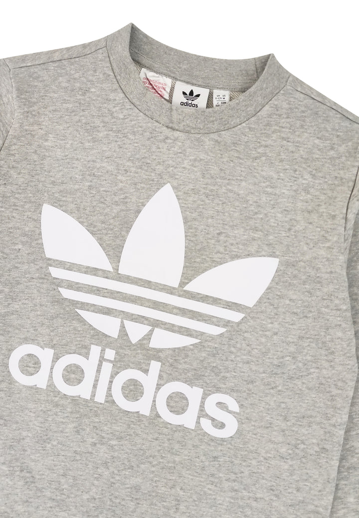 ViaMonte Shop | Adidas felpa Trefoil crew grigia bambino in cotone